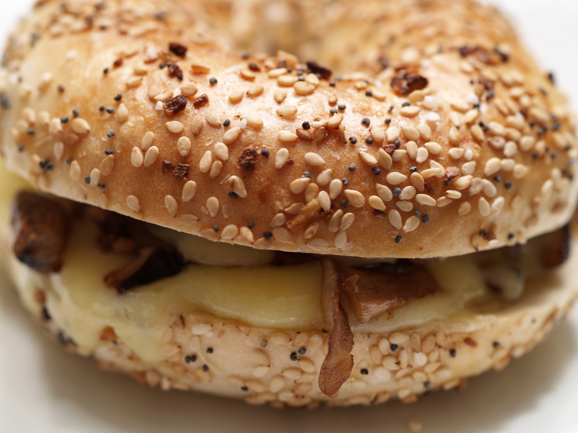 Everything Bagel & Mushroom Grilled Cheese